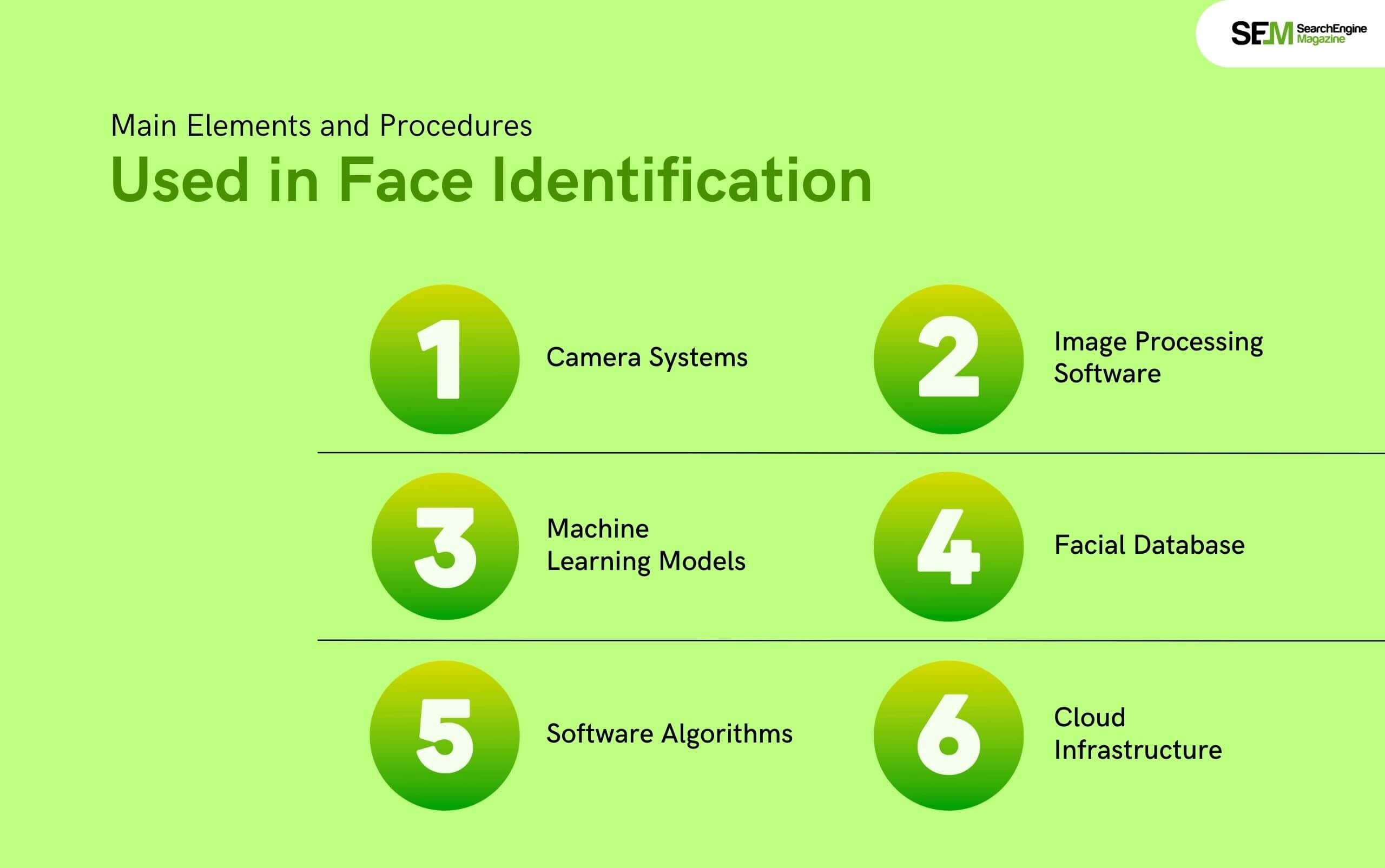 Main Elements and Procedures Used in Face Identification