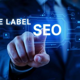 White Label SEO