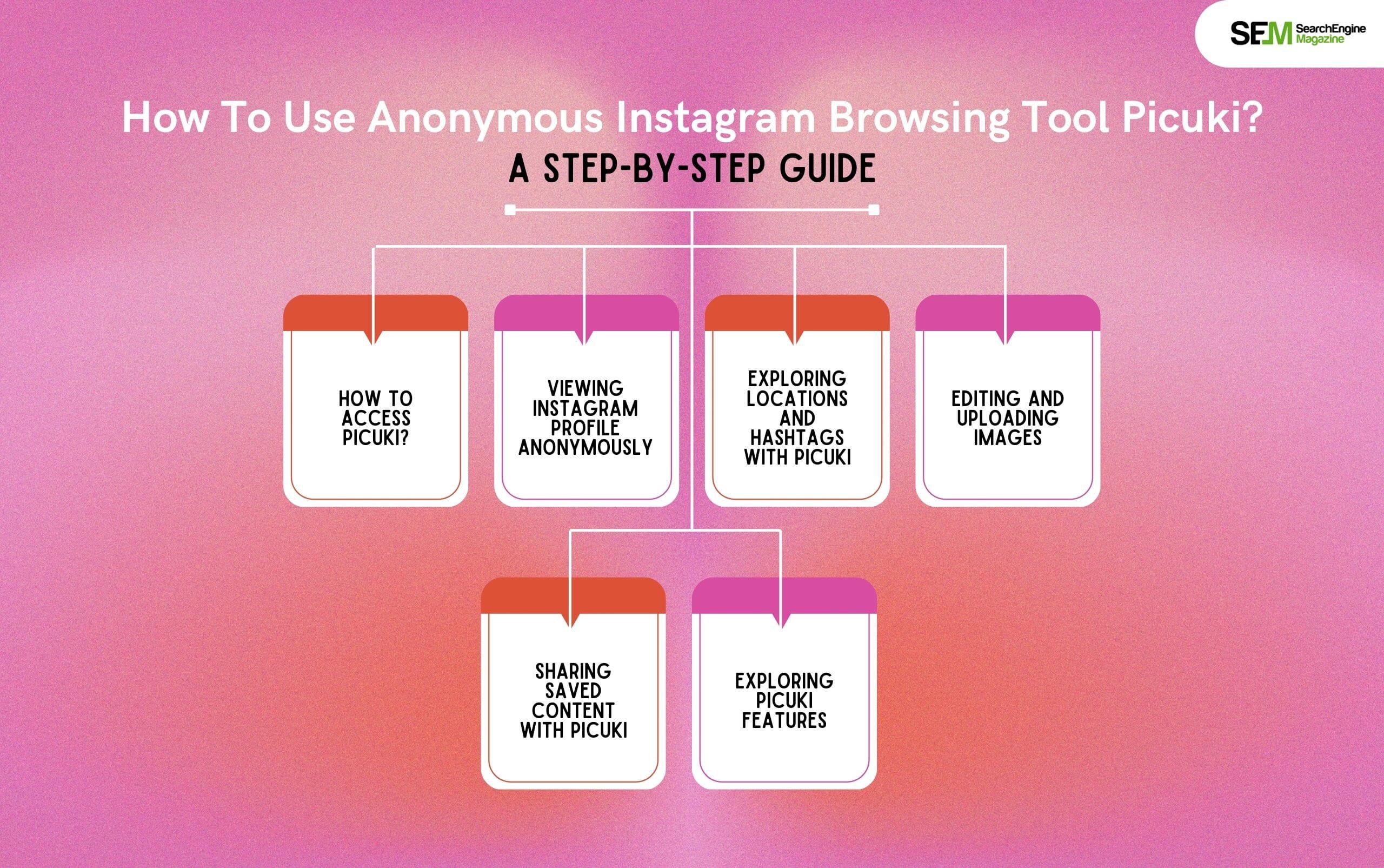 How To Use Anonymous Instagram Browsing Tool Picuki_ A Step-By-Step Guide