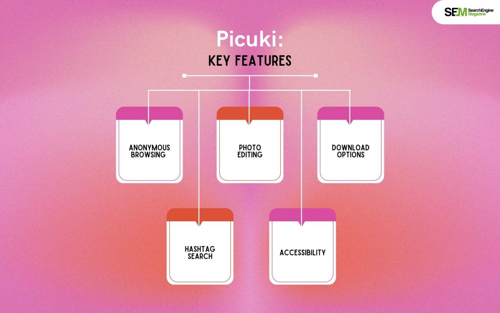 Picuki_ Key Features